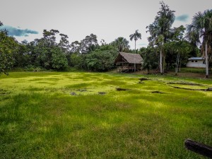 Iquitos