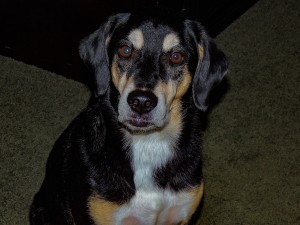 Murph