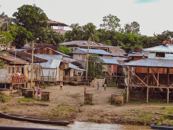 Amazon Peru  Print