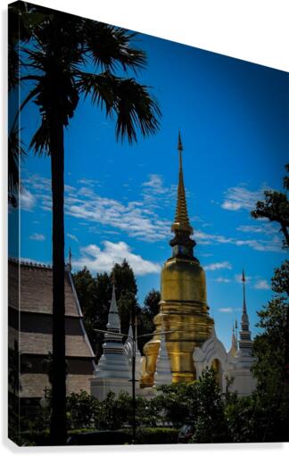 Temple tree Canvas Print
