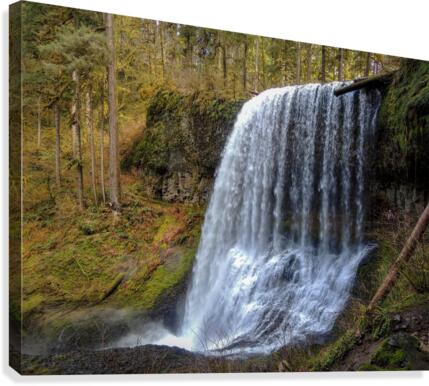 Side view Canvas Print