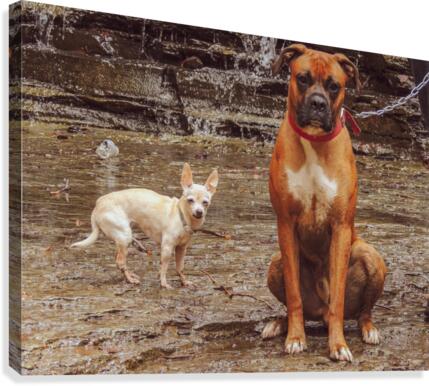 Pals Canvas Print