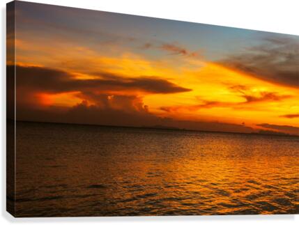 Mushroom Cloud Canvas Print