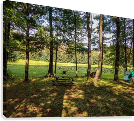 Shadows Canvas Print