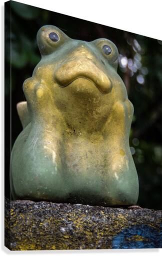 Kermit Canvas Print
