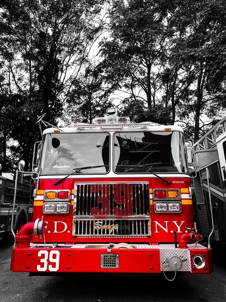 Engine 39 In The Woods by Patricia Gontz