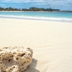 shell 2