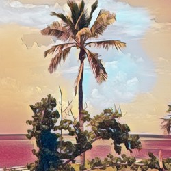 single palm 6
