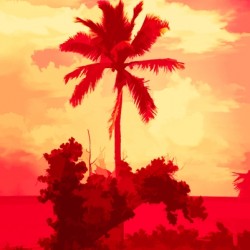single palm 7