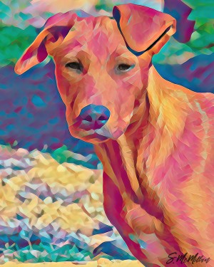 Red Dog