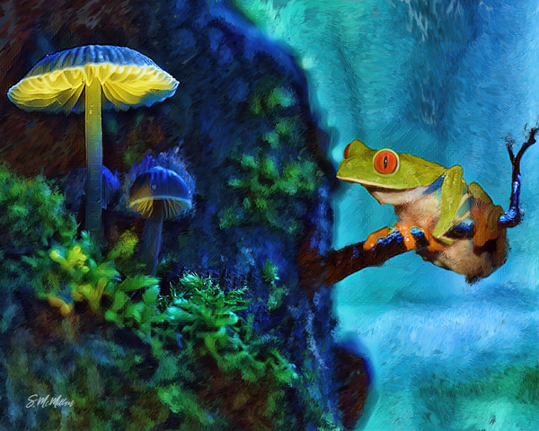Red Eyed Tree Frog  Print