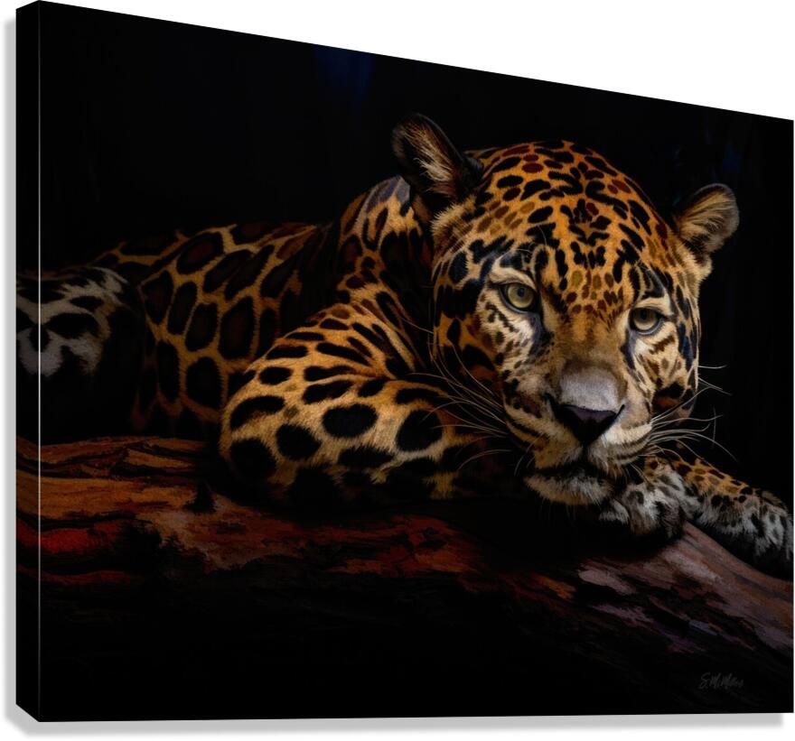 Resting Jaguar Canvas Print