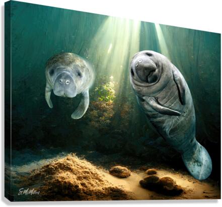 Manatees Canvas Print