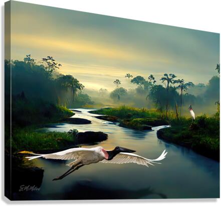 Jabiru  Canvas Print
