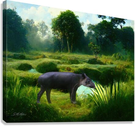 Tapir  Canvas Print