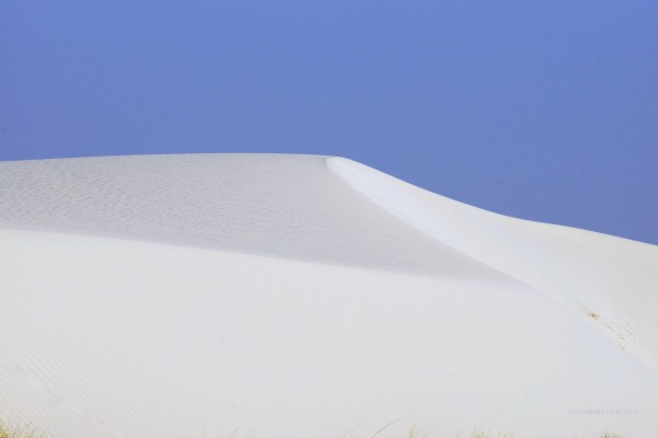 White Sands Abstract 927 by Lawrence Costales