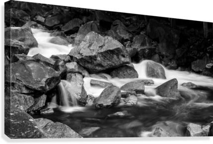 Rapids Canvas Print