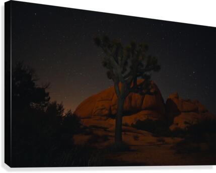 Cosmic Dance Canvas Print