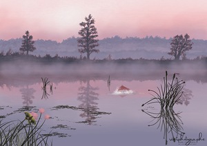 Marsh Trout