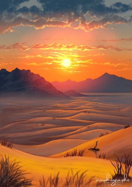 Desert Sunset Digital Download