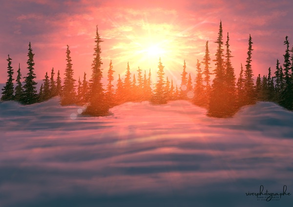Winter Sunrise Digital Download