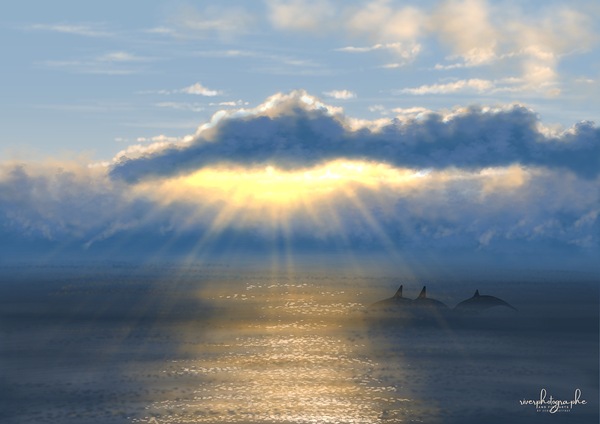 Ocean Sunrise Digital Download