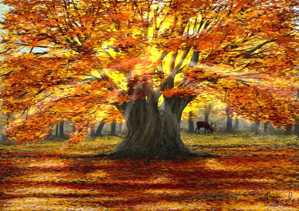 Autumn Oak Digital Download