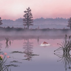 Marsh Trout