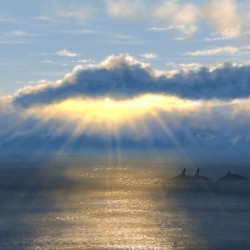 Ocean Sunrise