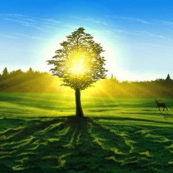Spring Sunrise