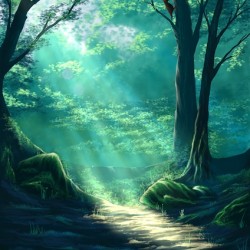 Woodland Rays