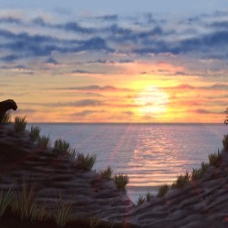 Beach Sunset
