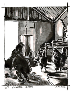 No Fox in the Hen House