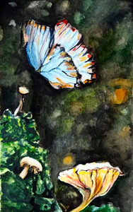 ButterflyAndTheMushroomPatch