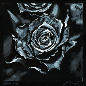 Black Rose
