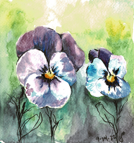Pansies Print