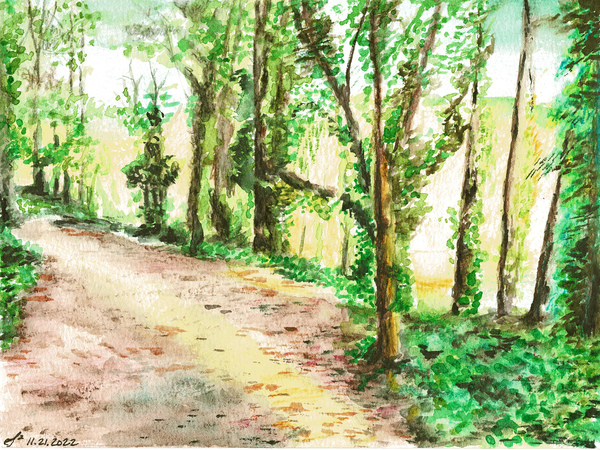 Haig Mill Park Trail Print