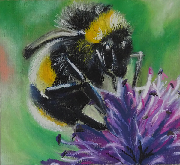 Bumblebee Feast Print