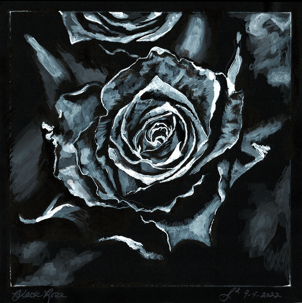 Black Rose Print