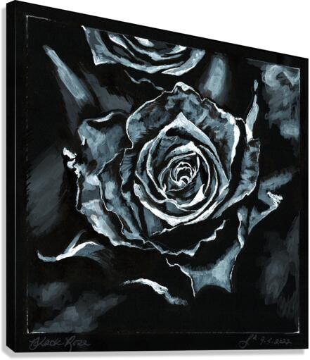 Black Rose Canvas Print