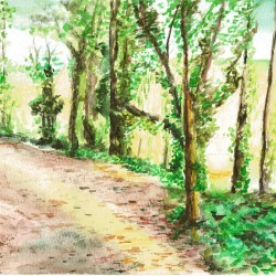 Haig Mill Park Trail