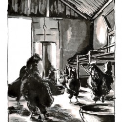 No Fox in the Hen House