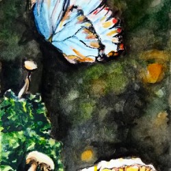 ButterflyAndTheMushroomPatch