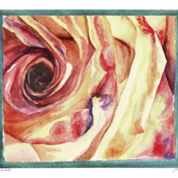 Deep Dive Rose Bloom