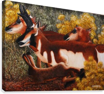 Wanta Race Canvas Print