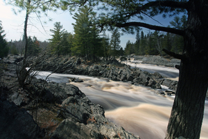 Jay Cooke  in color