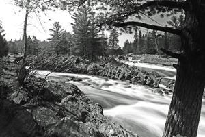Jay Cooke in Black and White 
