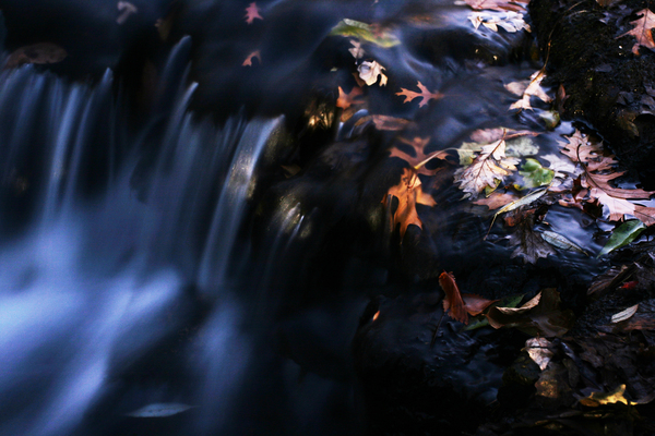 waterfall   leaves  Print