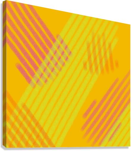 Sonoran 2 Canvas Print