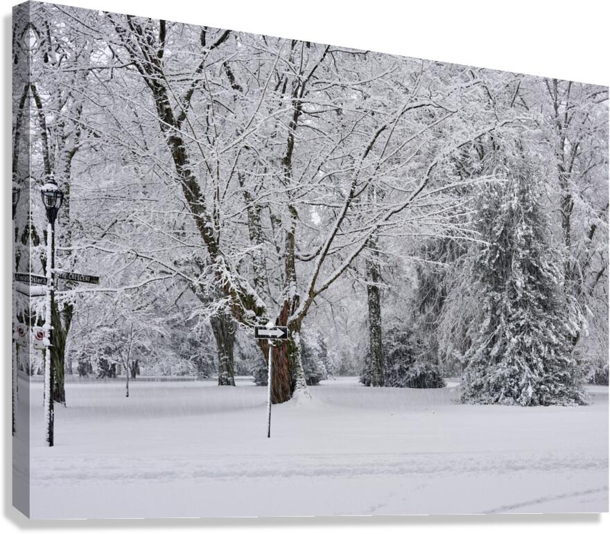 First Snow Canvas Print